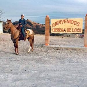 Meet your Posher, Bryan